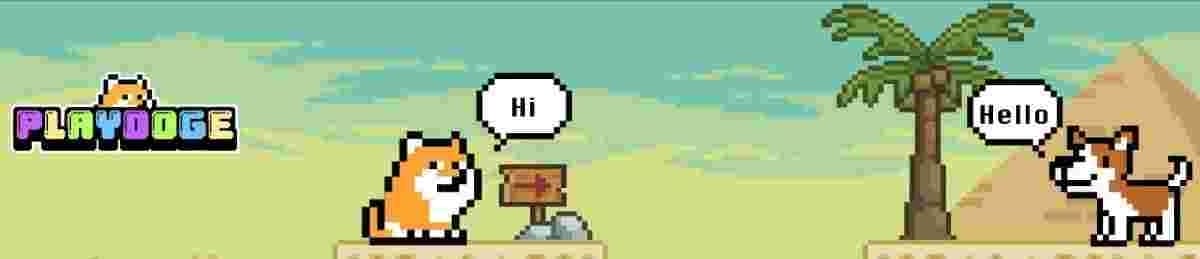 PlayDoge