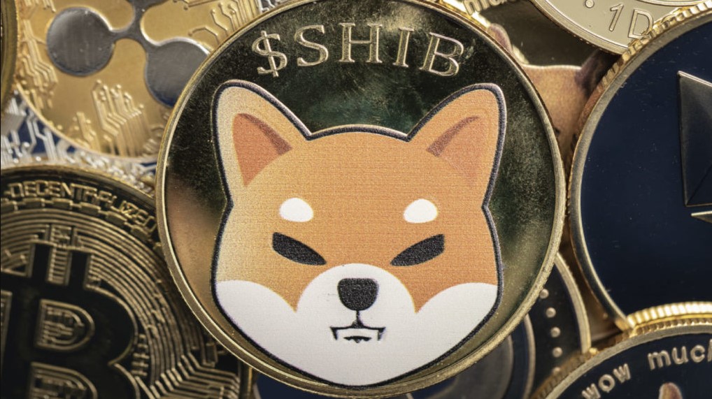 Moeda com o símbolo da SHIB