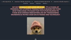 Dogwifhat novo token Solana