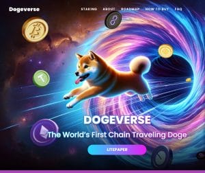 Saiba o que é e como comprar Dogeverse