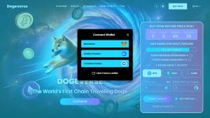 Conectar a carteira no site oficial Dogeverse