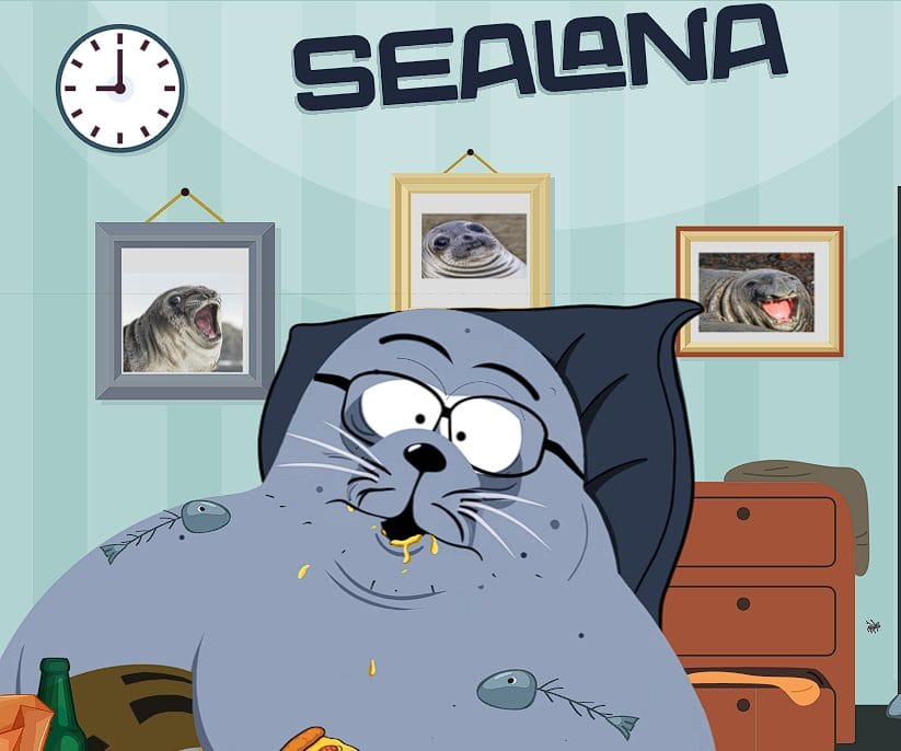 Saiba como comprar Sealana