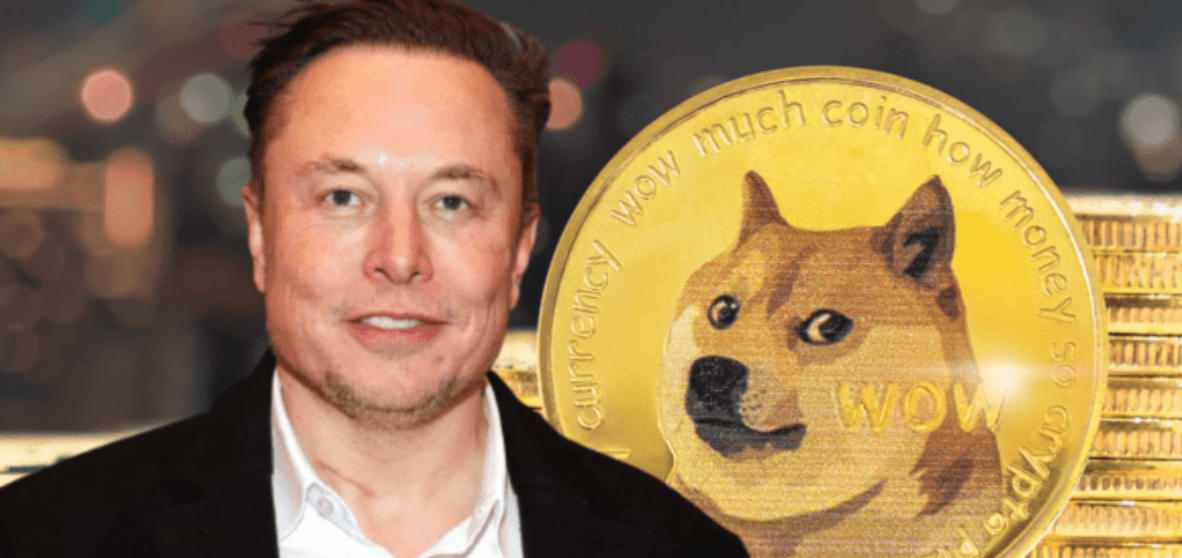 elon musk dogecoin