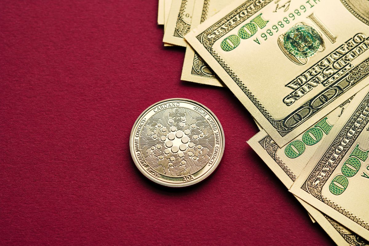 cardano kurs