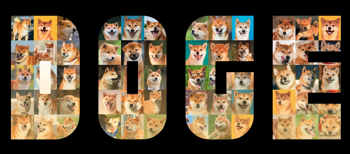 dogecoin med ticker og mange hunder