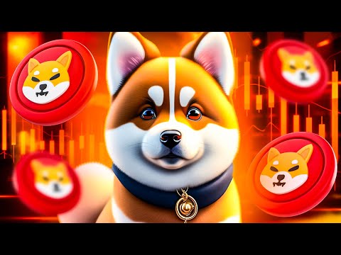 Shiba Inu (SHIB) kurs prognose 2025 Bull Marked 🚀