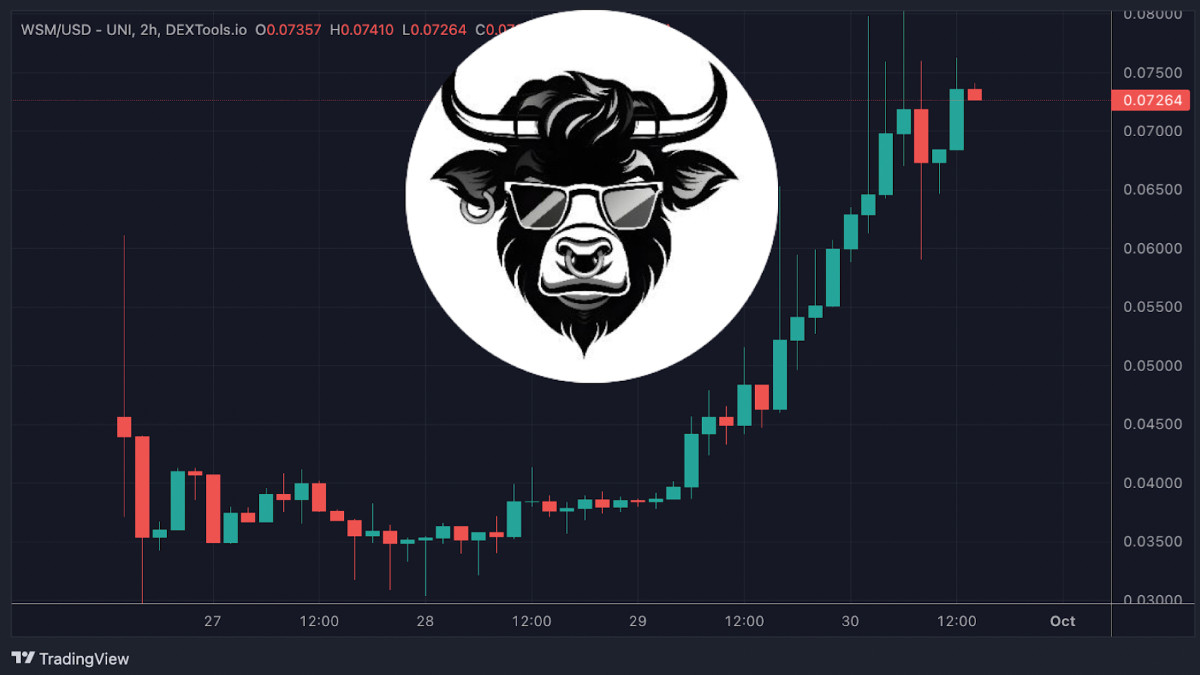 Wall street memes kurssi kuva