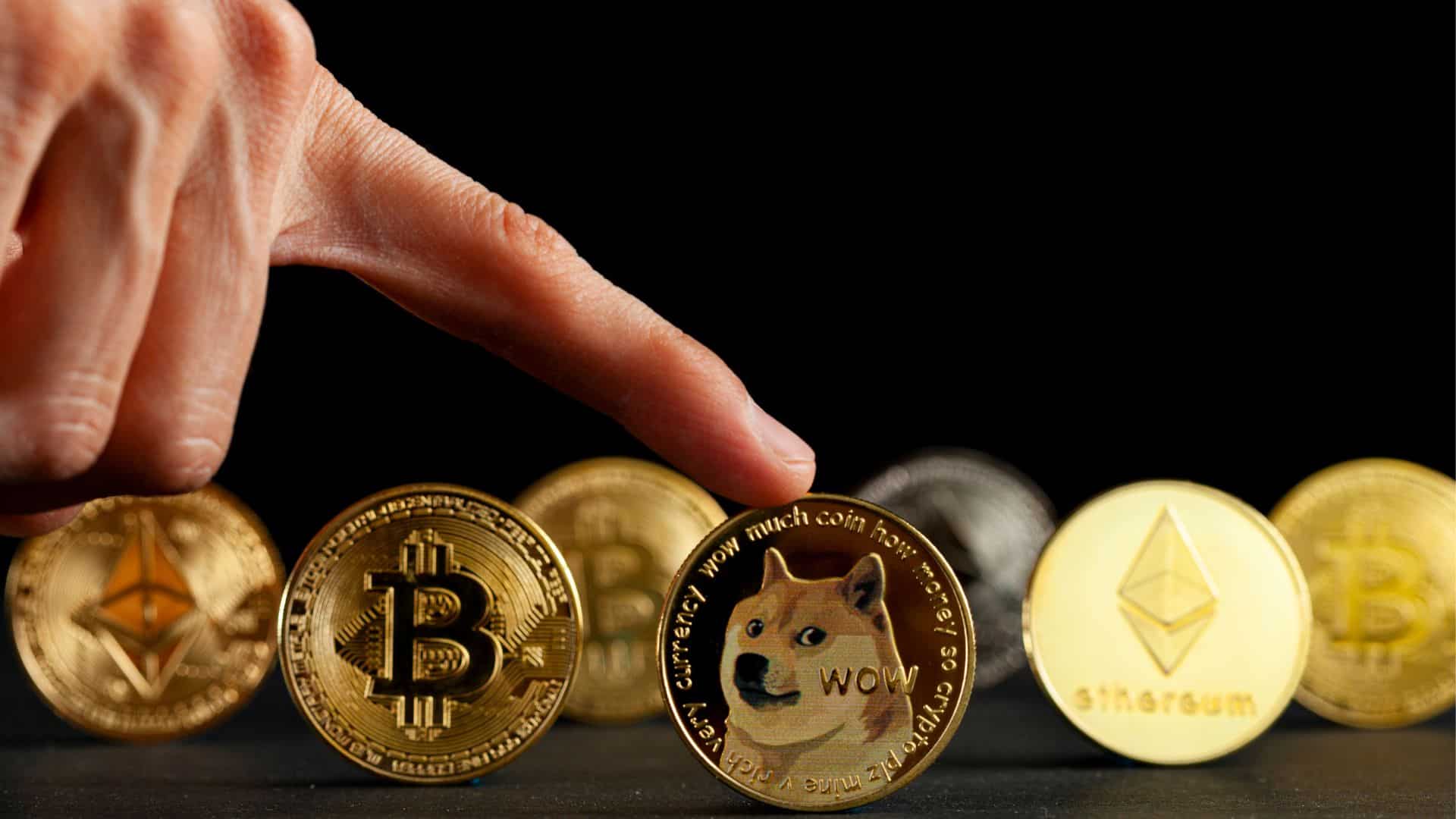 Carl Rinsch tienasi Dogecoin-kryptovaluutalla.