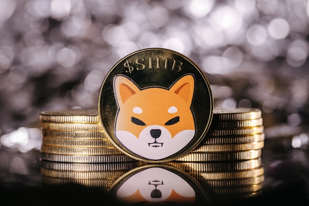 Osta Shiba Inu – Mistä ja miten ostaa Shiba Inua 2025?