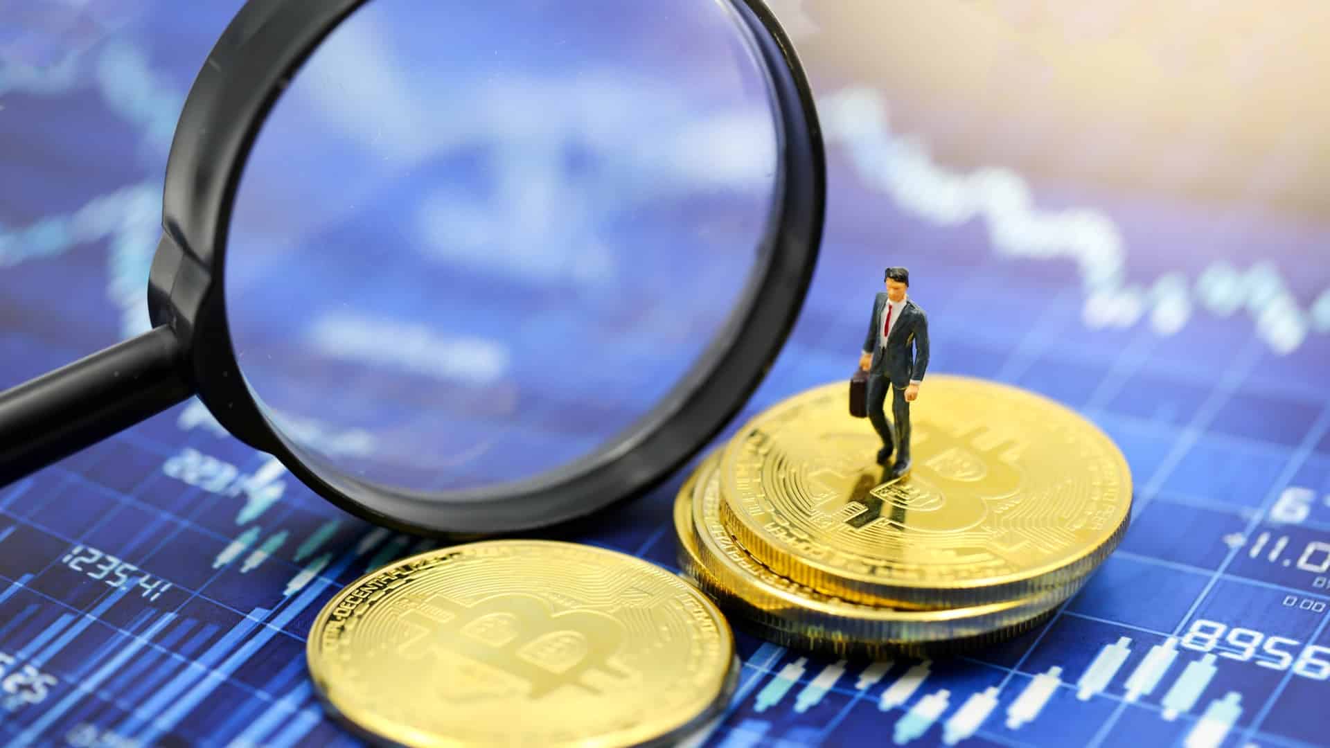 warren buffett ja kryptot