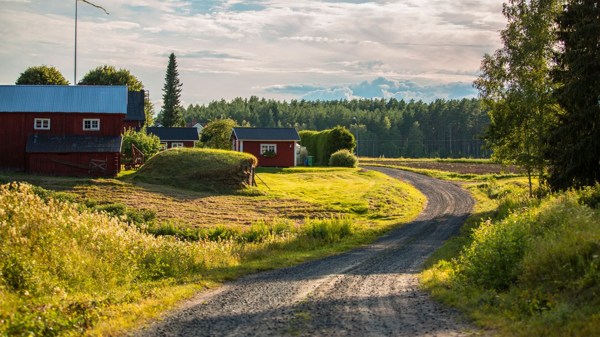 Tekoäly-ystävät nauttivat suosiota erityisesti Suomen syrjäseuduilla.