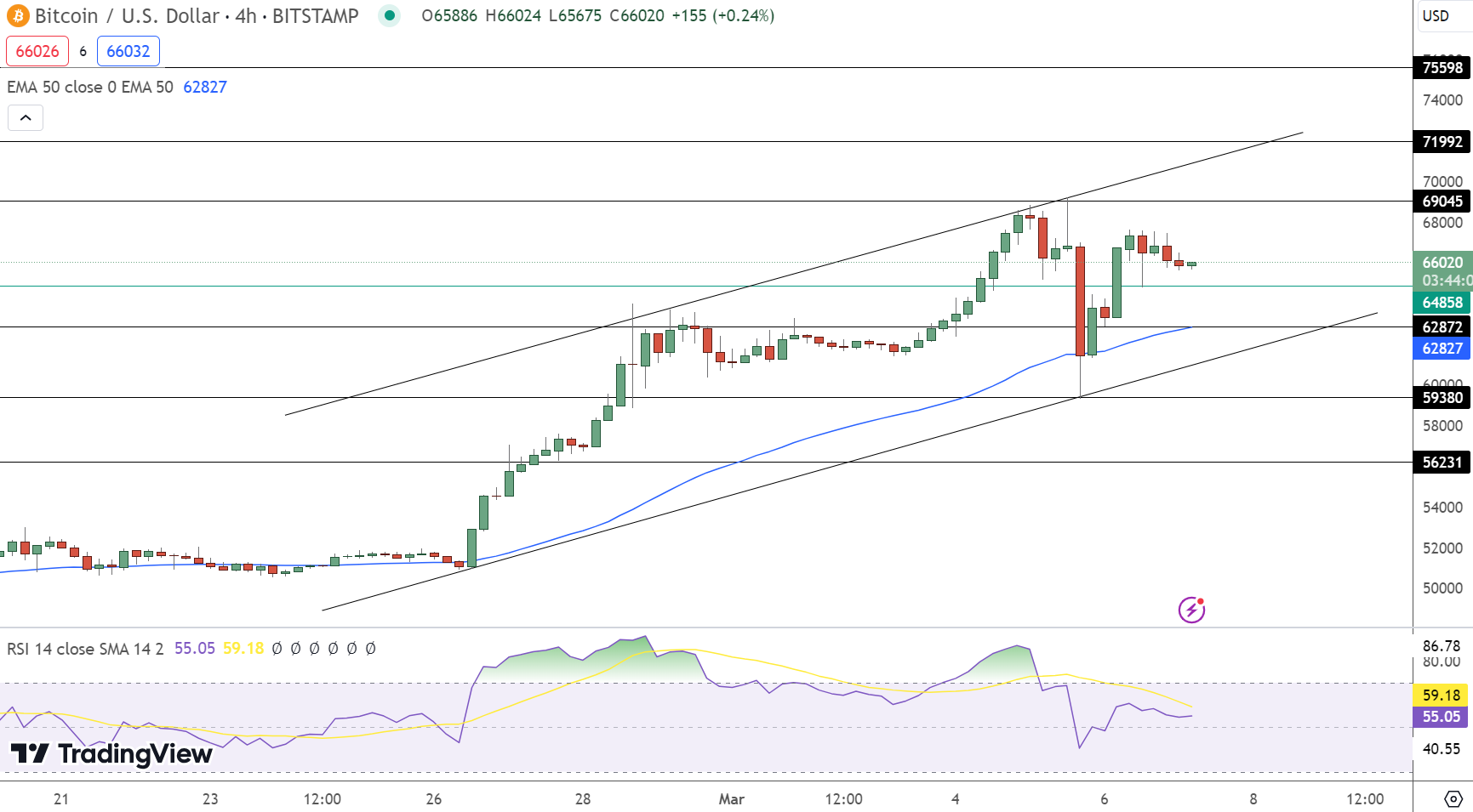 Bitcoin hintaennuste kaavio 7.3.2024