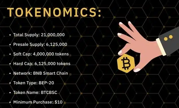 비트코인 BSC 토크노믹스