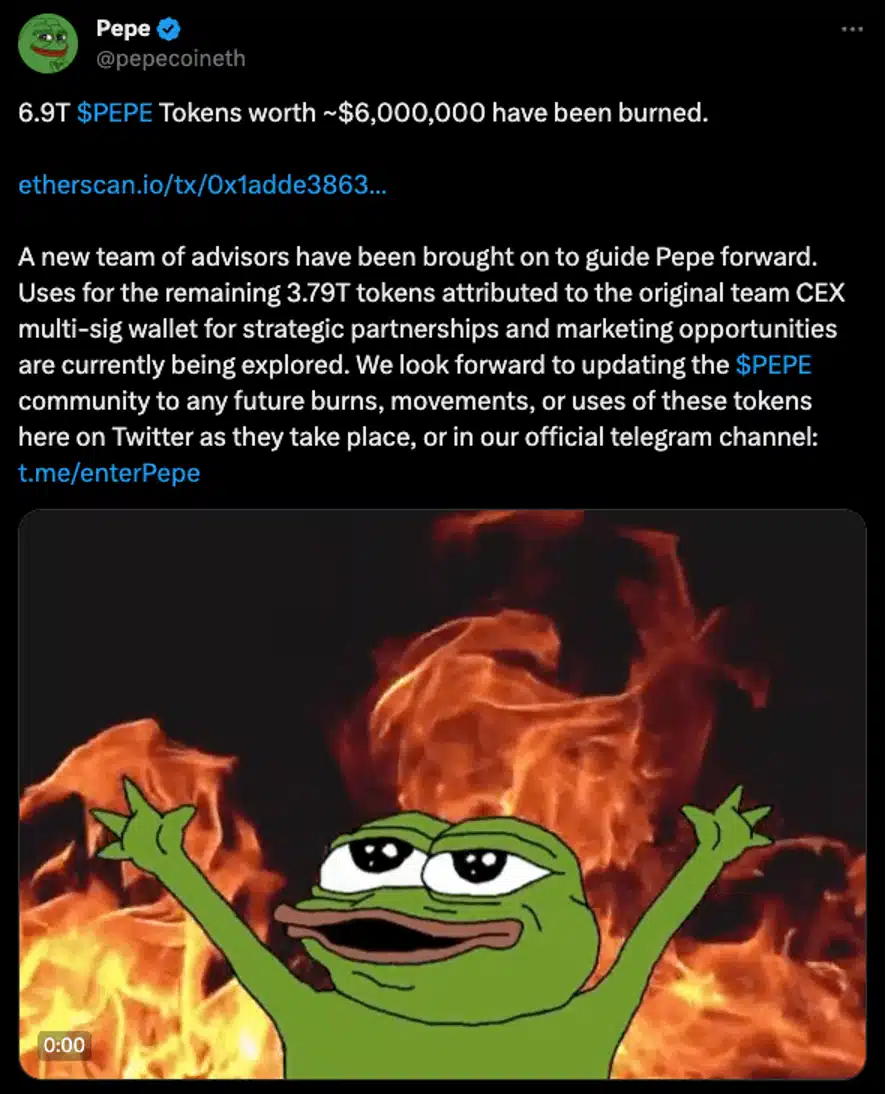 페페 토큰 소각