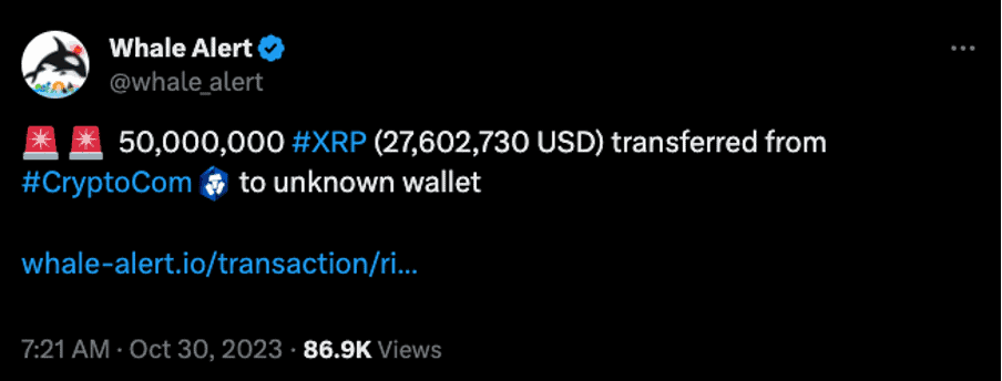 리플 웨일 얼럿