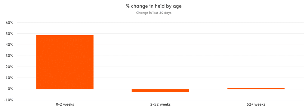 비트코인 보유자
