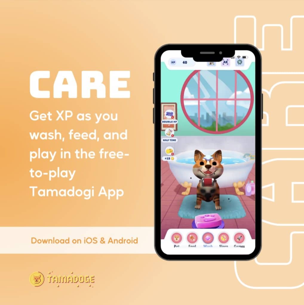 타마도기 앱 펫 기르기