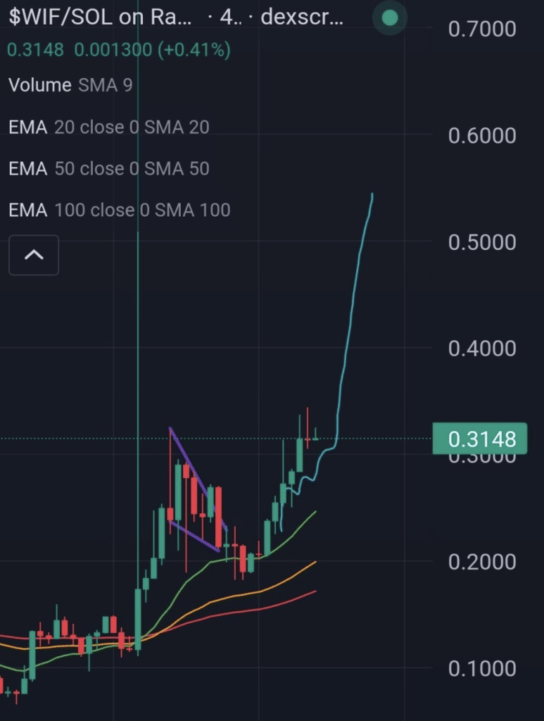 WIF 솔라나 밈코인