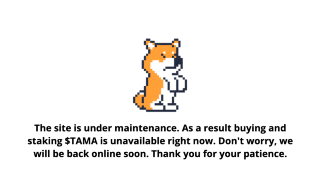 타마도지 홈페이지