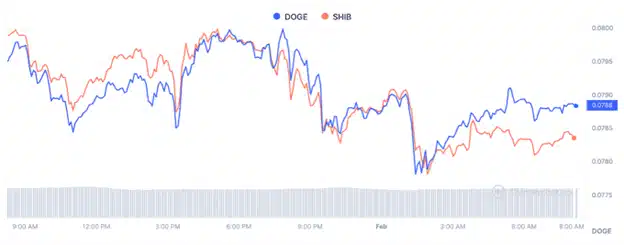 도지코인 시바이누 차트