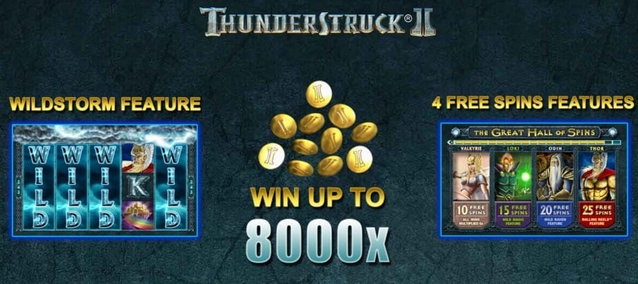 마이크로게이밍 슬롯-1