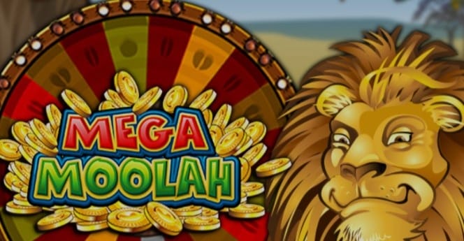 마이크로게이밍 슬롯-5