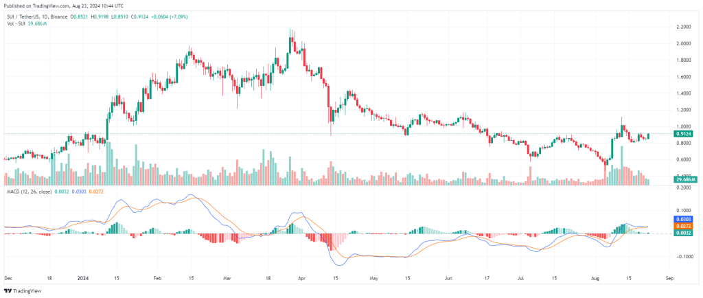 수이 코인 전망