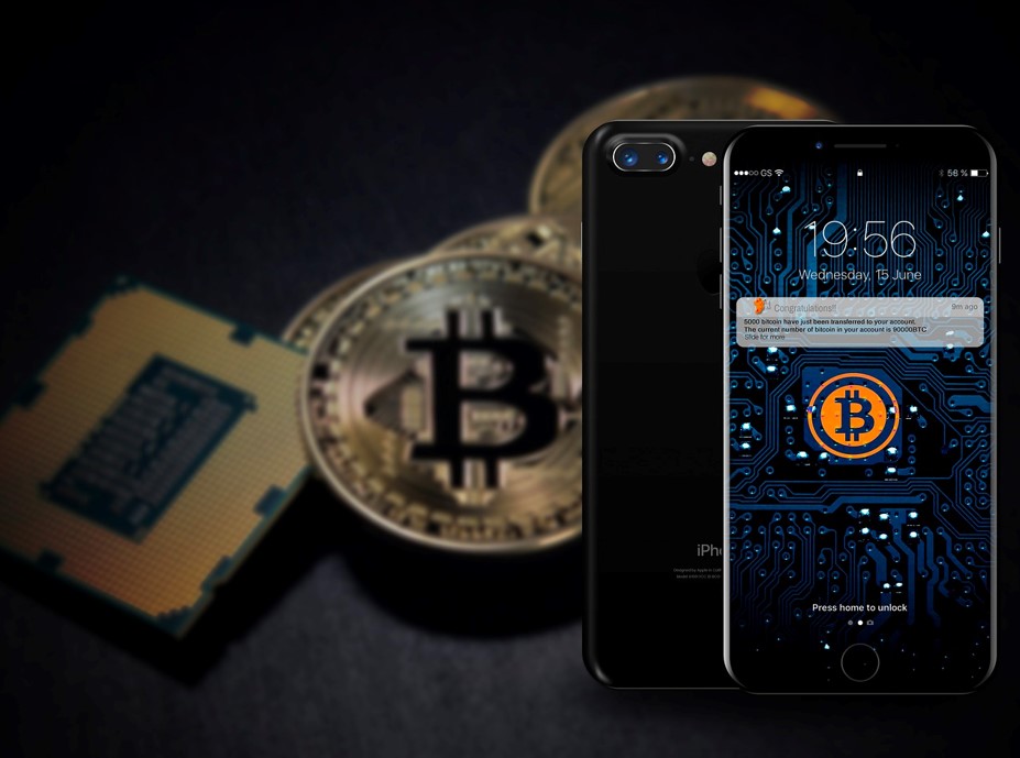 Ada banyak dompet Bitcoin di luar sana,