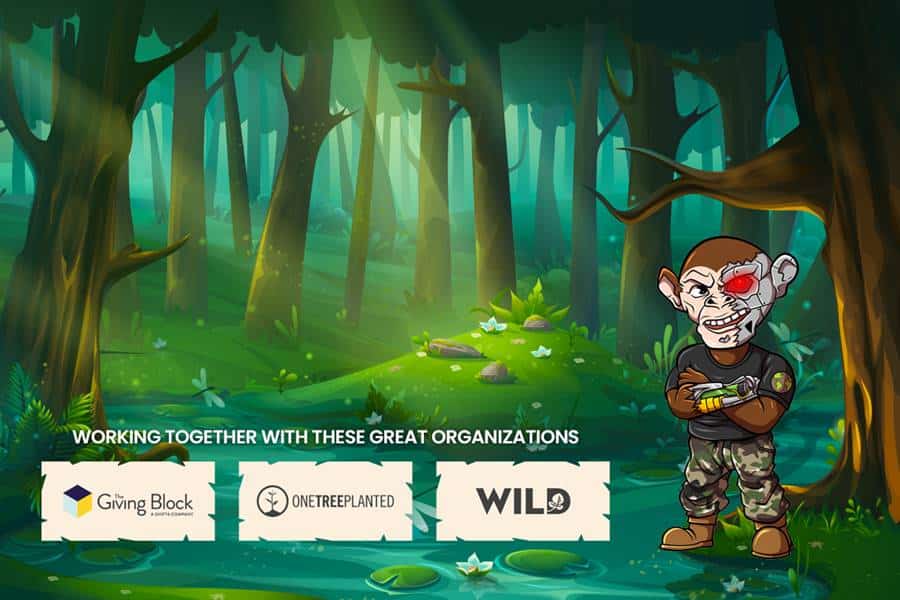 Chimpzee Mengumpulkan Lebih dari $2 Juta