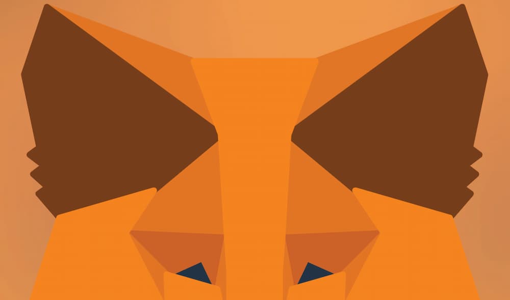 Metamask Fitur Utama