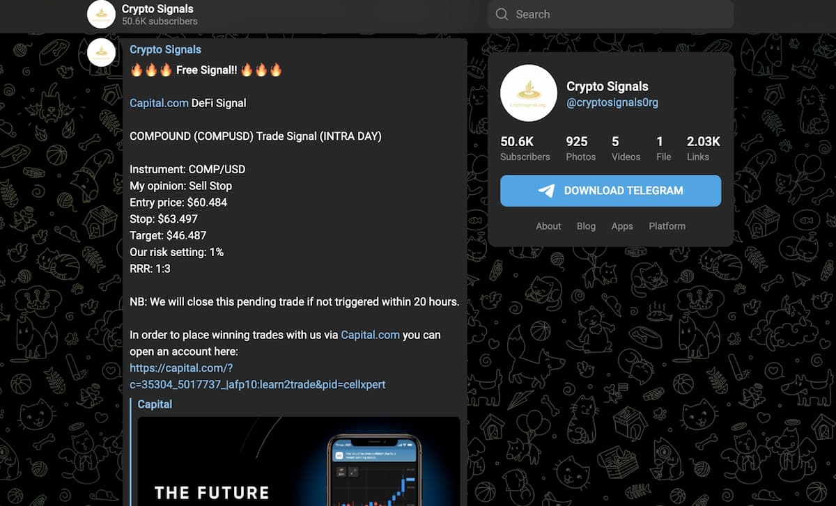 Cryptosignals.org Telegram Crypto Grup - Daftar Grup Telegram Terbaik untuk Dapatkan Crypto Signal 2024