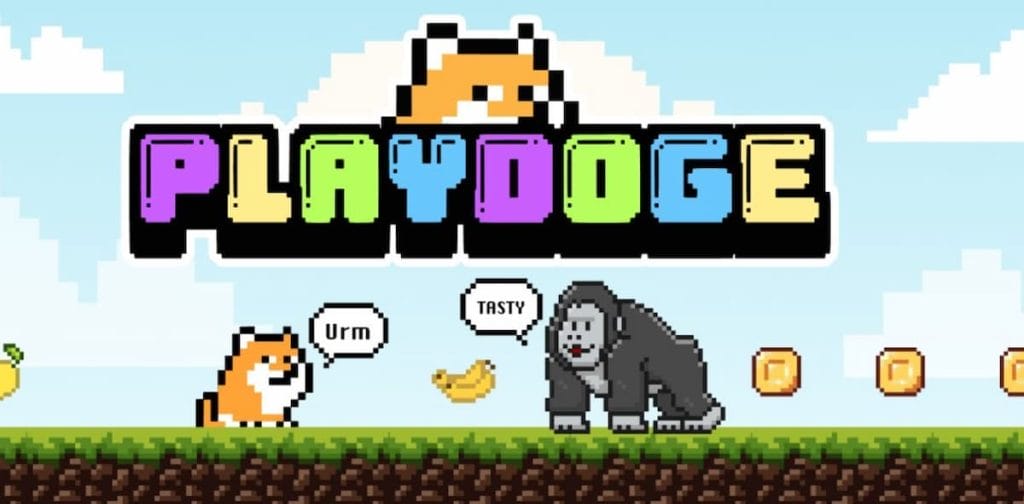 PlayDoge Kursprognose