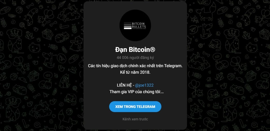 Bitcoin Bullets – Kênh Telegram