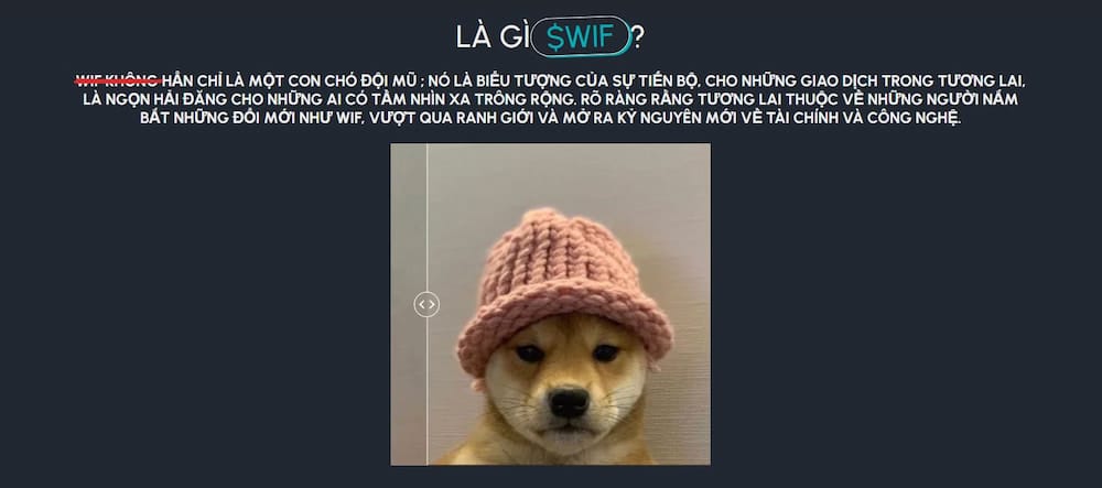 DogWiFHat