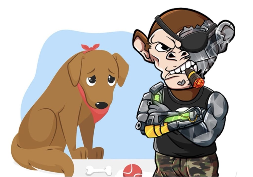 Chimzpee được sinh ra với một mục đích cao cả