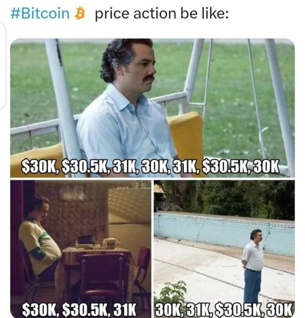 halvingpartymf-twitter