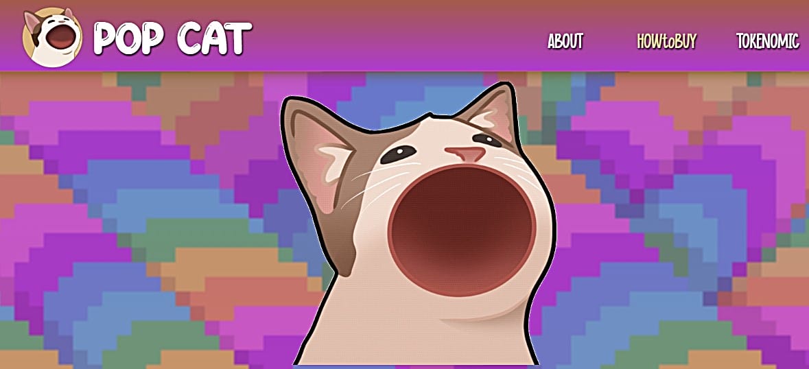 Popcat เหรียญมีมชั้นนำบน Solana