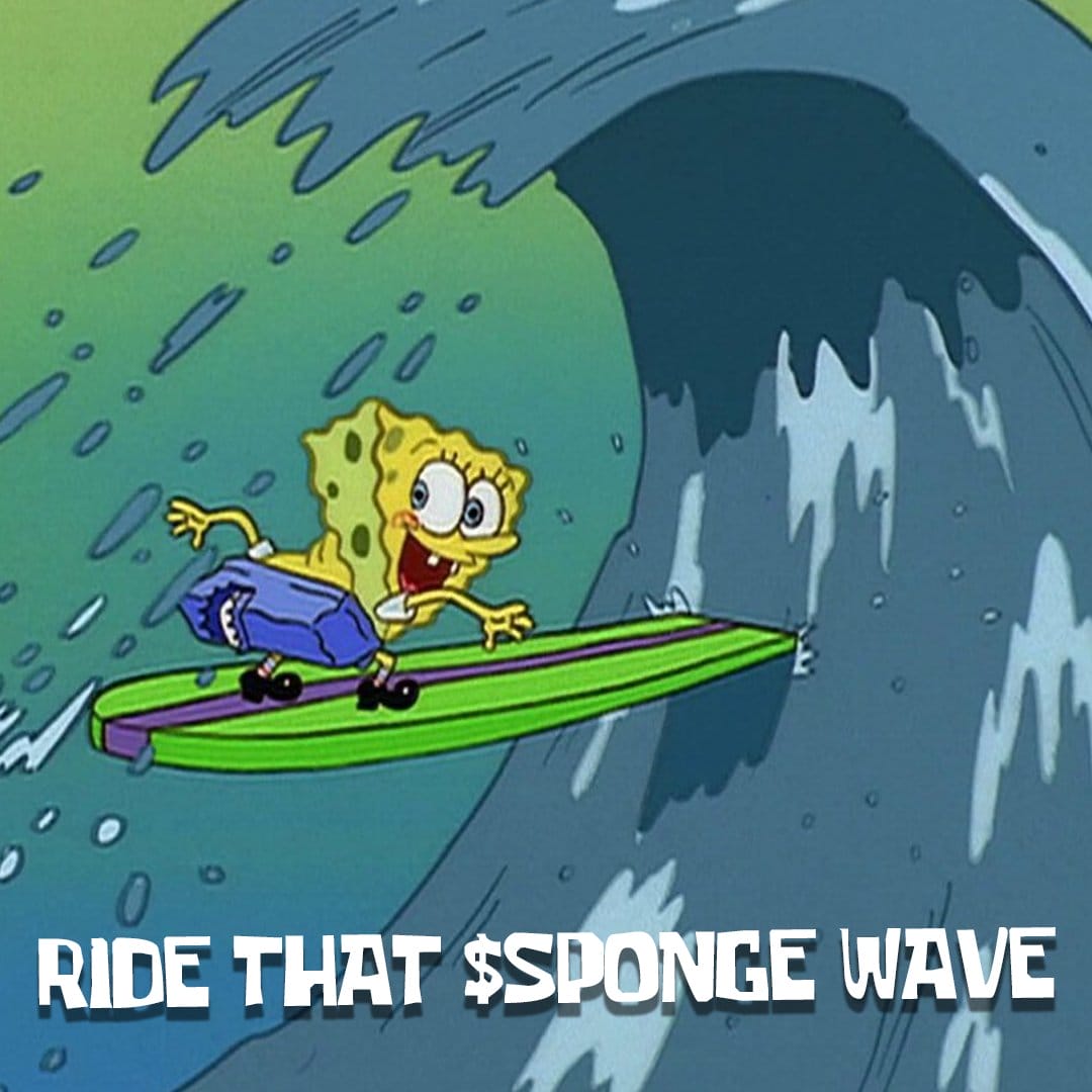 sponge