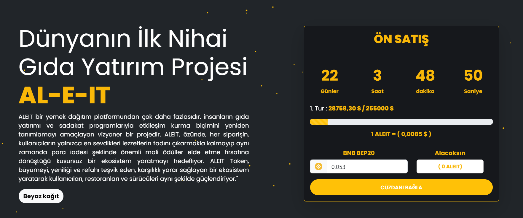En iyi binance akıllı zincir ICO'ları