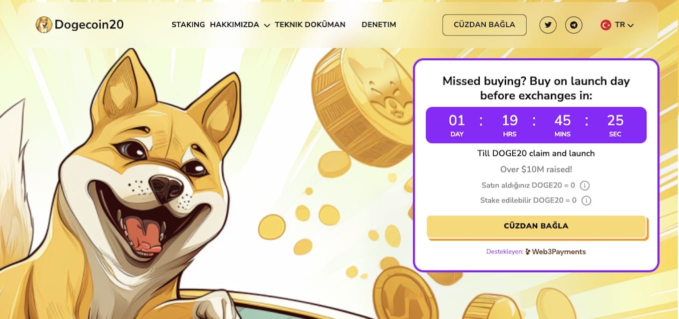 Dogecoin yatırımı