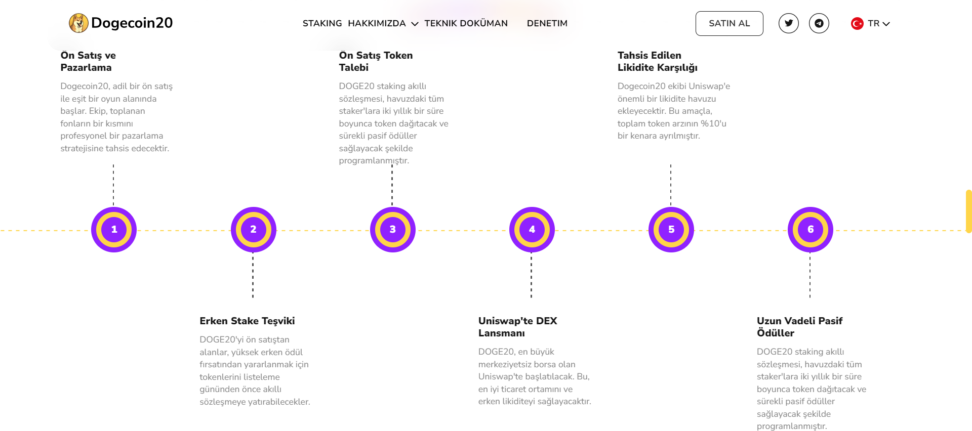 Dogecoin20 (DOGE20) Yol haritası