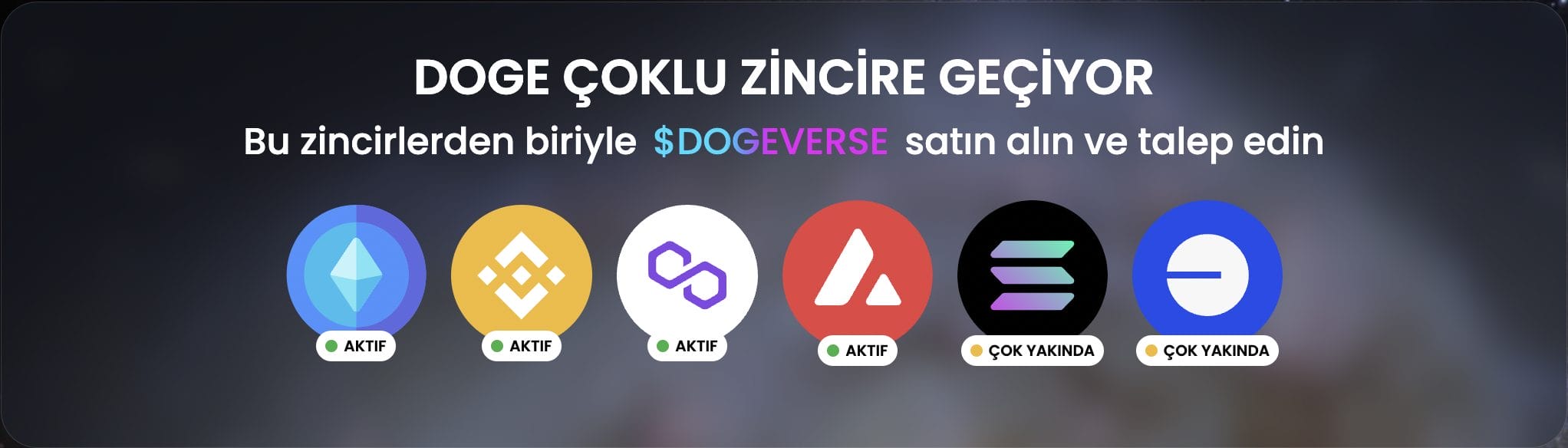 Dogeverse, &Ccedil;ok Zincirli Meme Coin Konseptini &Ouml;nc&uuml;l&uuml;ğ&uuml;n&uuml; Yapıyor