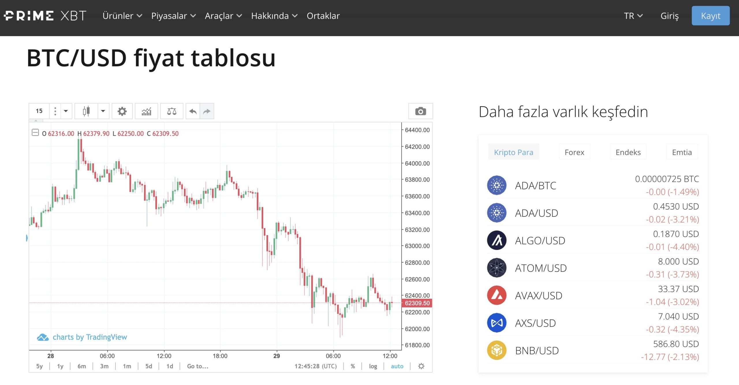 primexbt kripto borsası