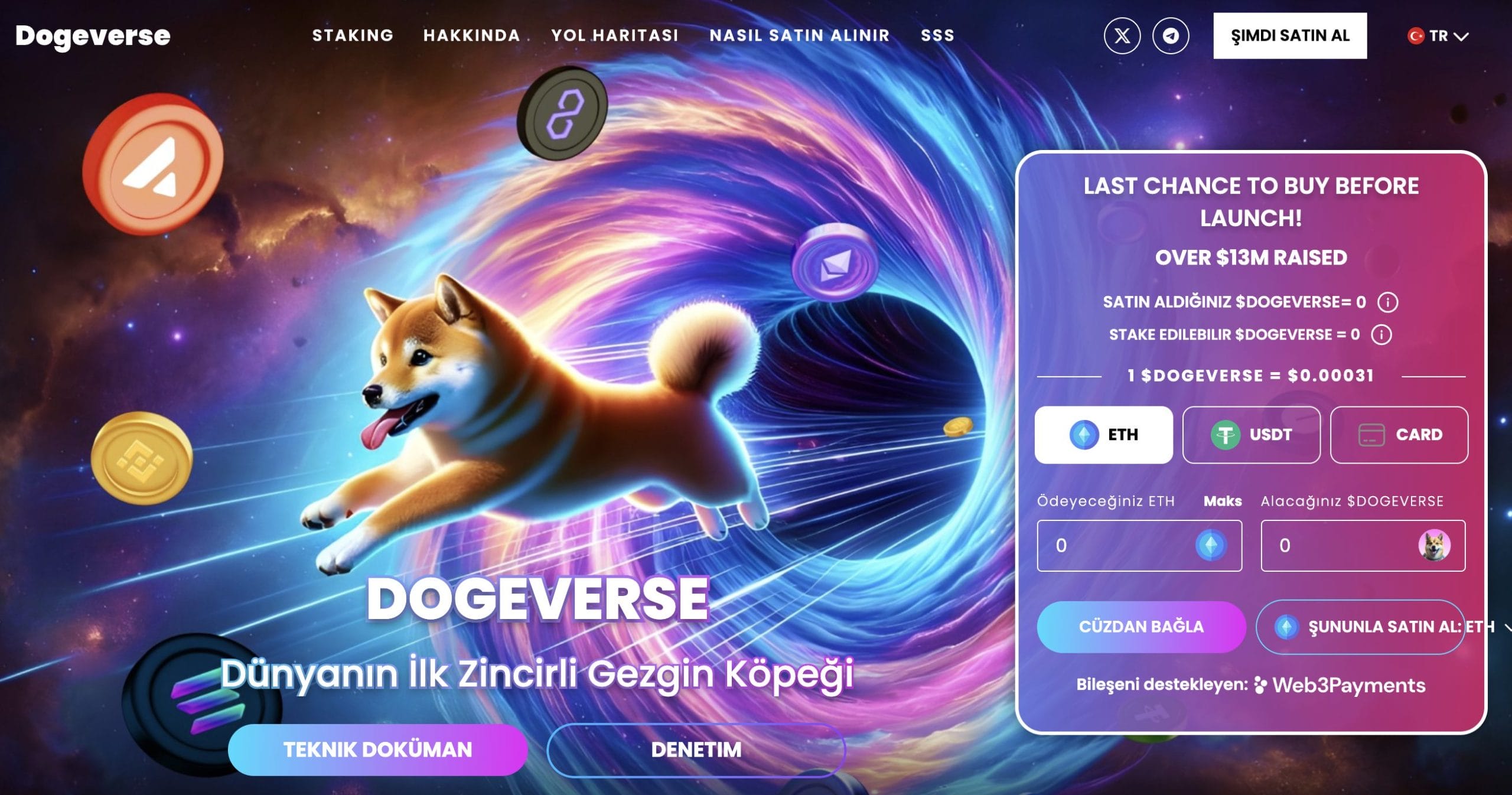 Dogeverse Yeni Dogecoin Olmaya Aday Kriptolar