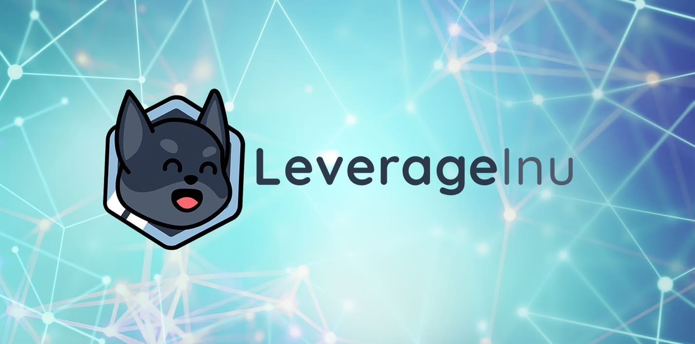 Leverage Inu Yeni Dogecoin Olmaya Aday Kriptolar