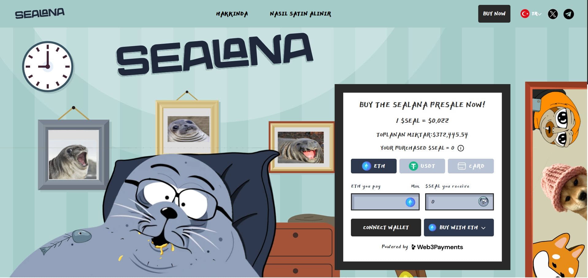 En iyi Solana ICO'ları