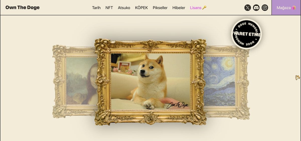 The Doge NFT (DOG) En İyi Polygon Meme Coinleri