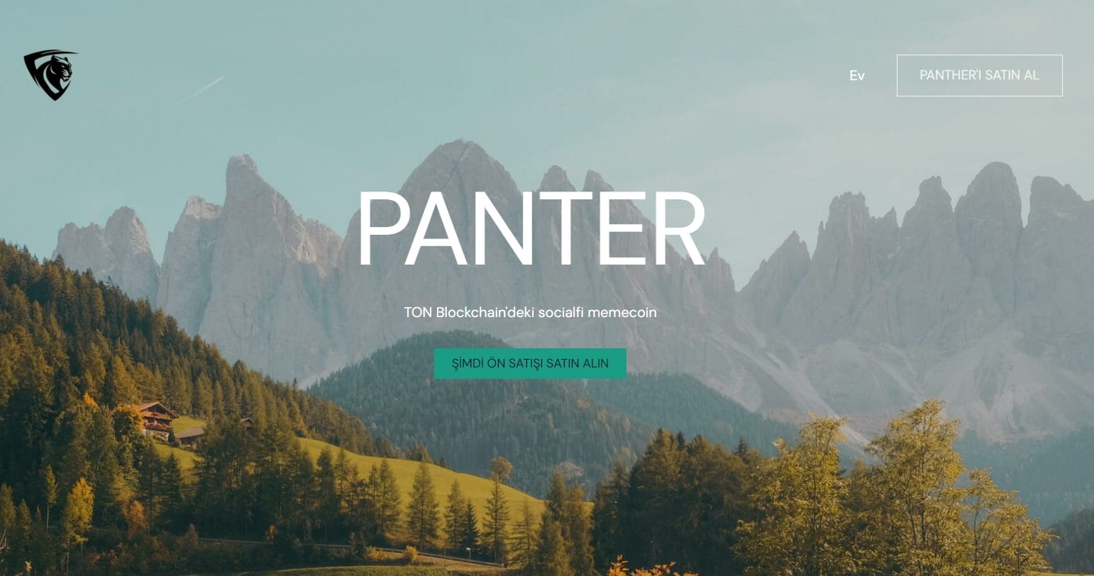 İlk SocialFi Meme Coini