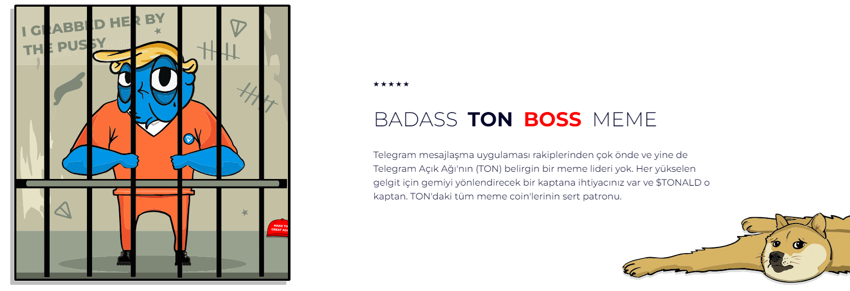 En İyi TON Ön Satışları