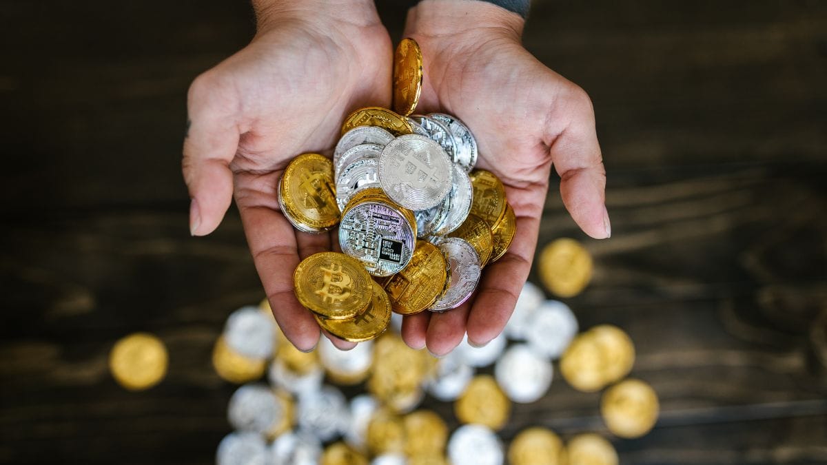 手のひらに広がる草コイン